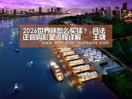 案例展示八
