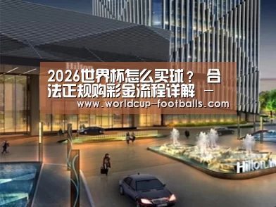 案例展示二