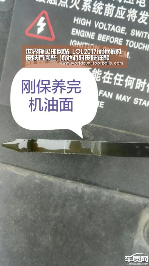 世界杯买球