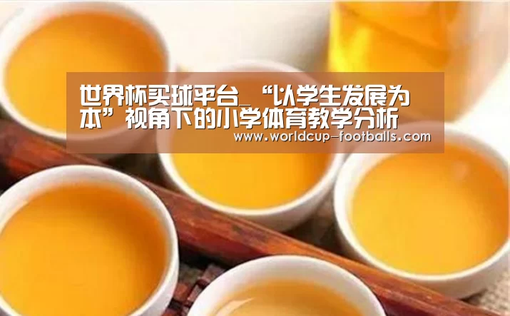 世界杯买球平台