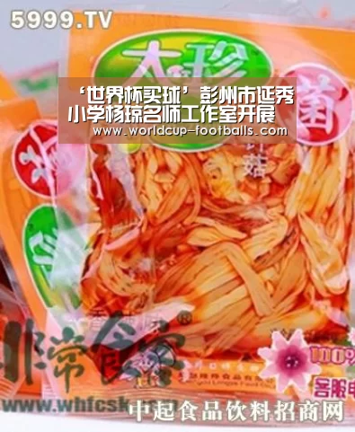 ‘世界杯买球’彭州市延秀小学杨琼名师工作室开展“六下部编教材解读暨名著阅读评价”直播研讨活动(图2) 世界杯买球平台